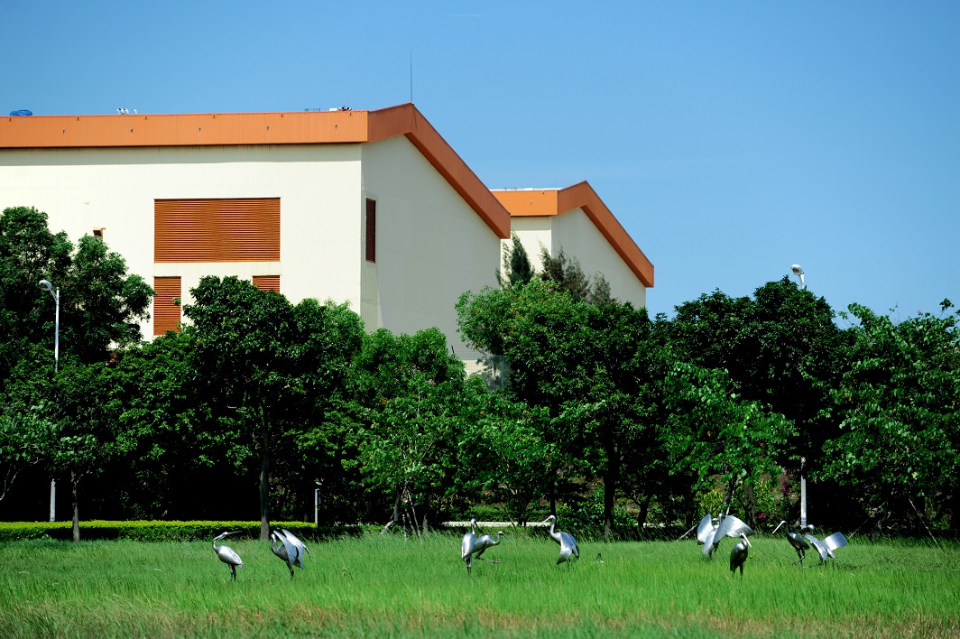 電站風景-黃墻、綠樹、白鷺（葉永東）